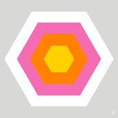 HEXAGON Gray/Pink