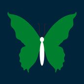 BUTTERFLY Midnight/Olive Green