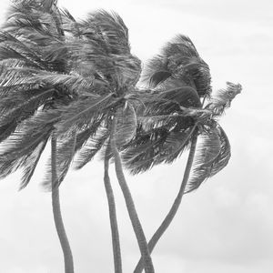Photograph printed on Hahnemühle Fine Art paper. Available 20"x20" and larger. Limited Edition of 12. ISLAND SERIES No.2