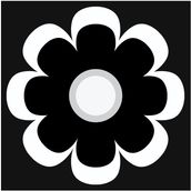 DAISY Black/White/Black