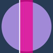 INTERSECTION Navy/Lavender