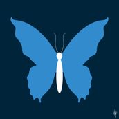 BUTTERFLY Midnight/Sky