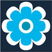 DAISY Blue/White/Turquoise