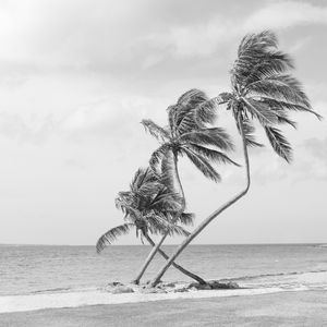 Photograph printed on Hahnemühle Fine Art paper. Available 20"x20" and larger. Limited Edition of 12. ISLAND SERIES No.1