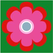 DAISY Red/Pink/Green