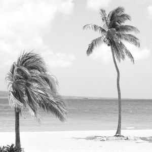 Photograph printed on Hahnemühle Fine Art paper. Available 20"x20" and larger. Limited Edition of 12. ISLAND SERIES No.3