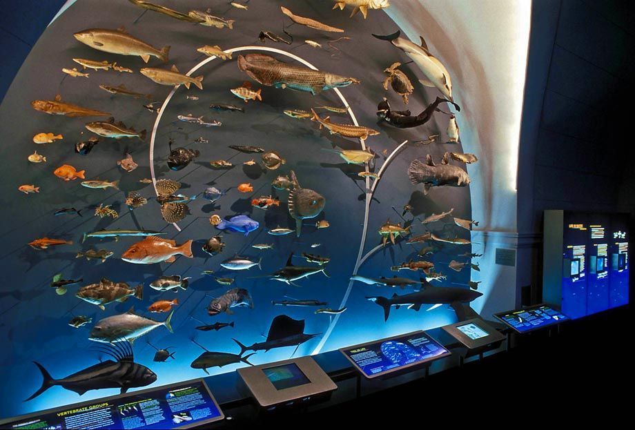 1natural_museum_4