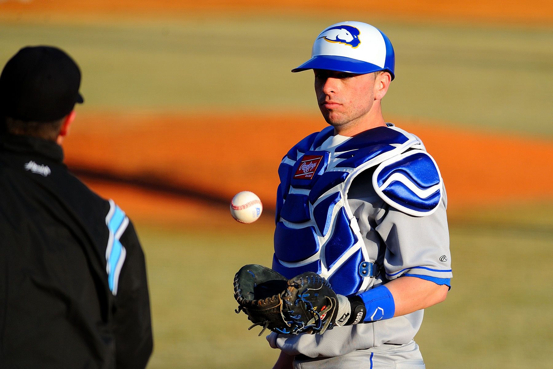 NCAA BASEBALL:  FEB 25 Hofstra v Notre Dame