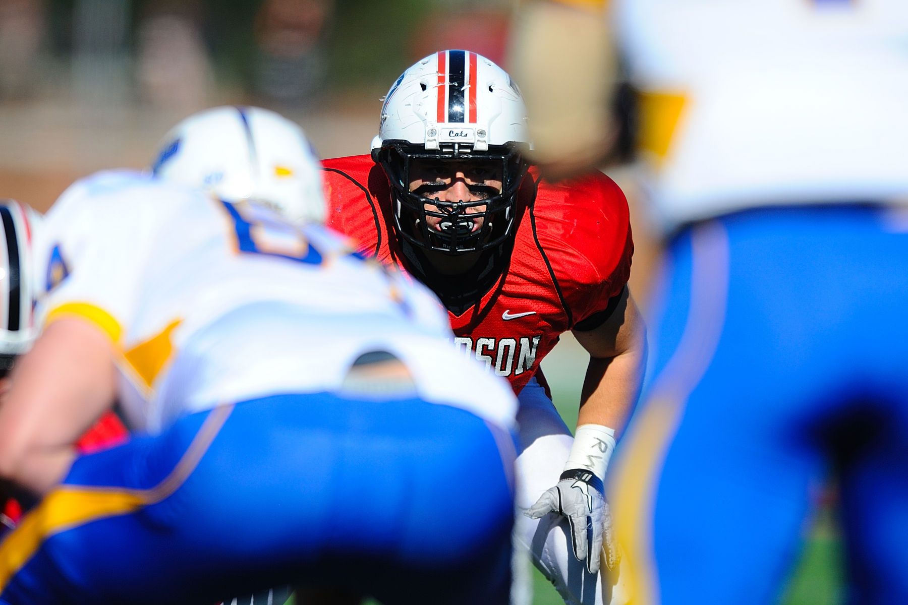 NCAA FOOTBALL:  NOV 12 Morehead State at Davidson