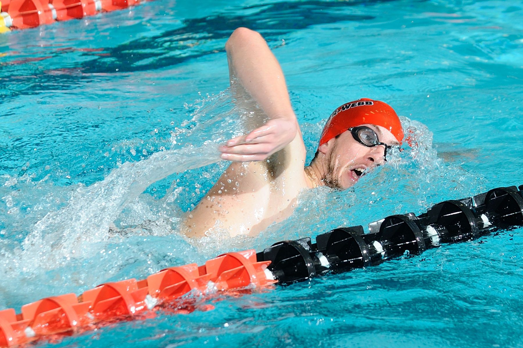 NCAA SWIMMING:  JAN 21 Gardner-Webb at Davidson