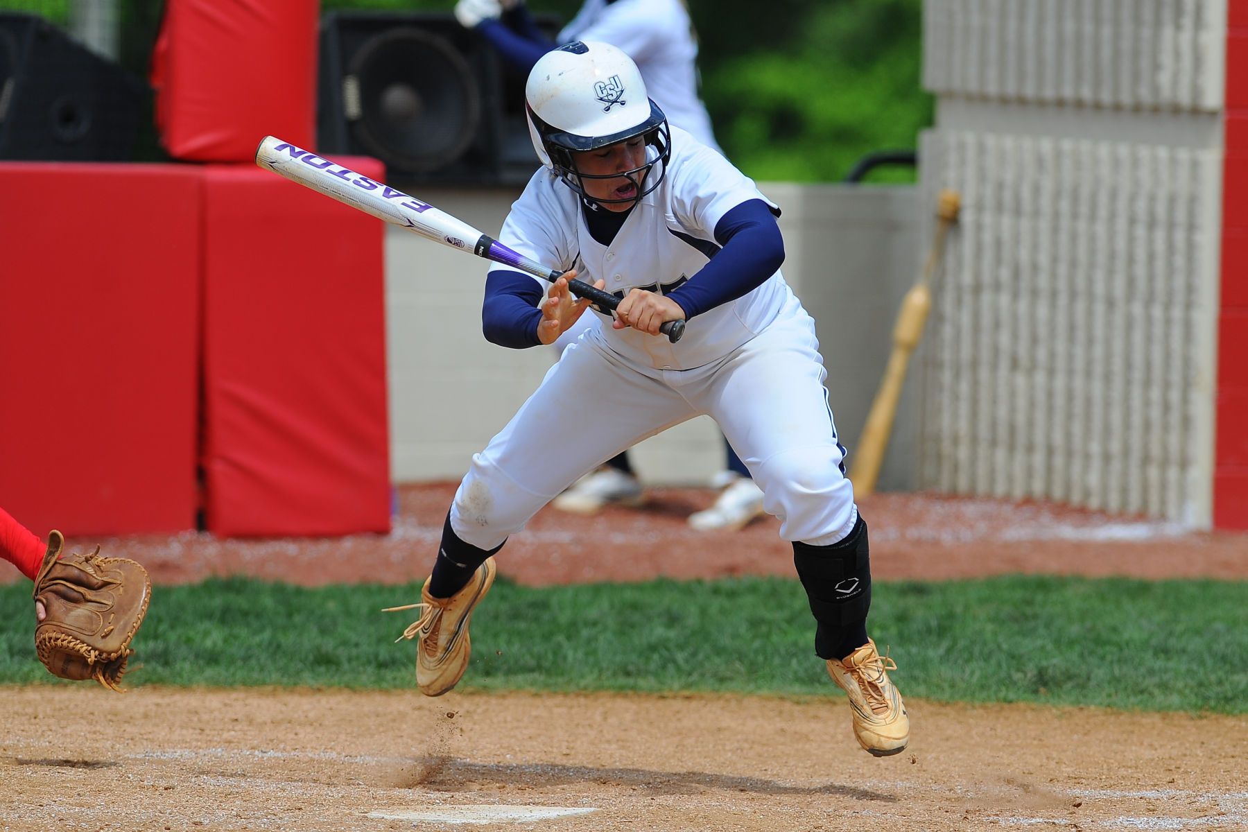 NCAA SOFTBALL:  MAY 10 Big South Conference Championship - Presbyterian vs Gardner-Webb