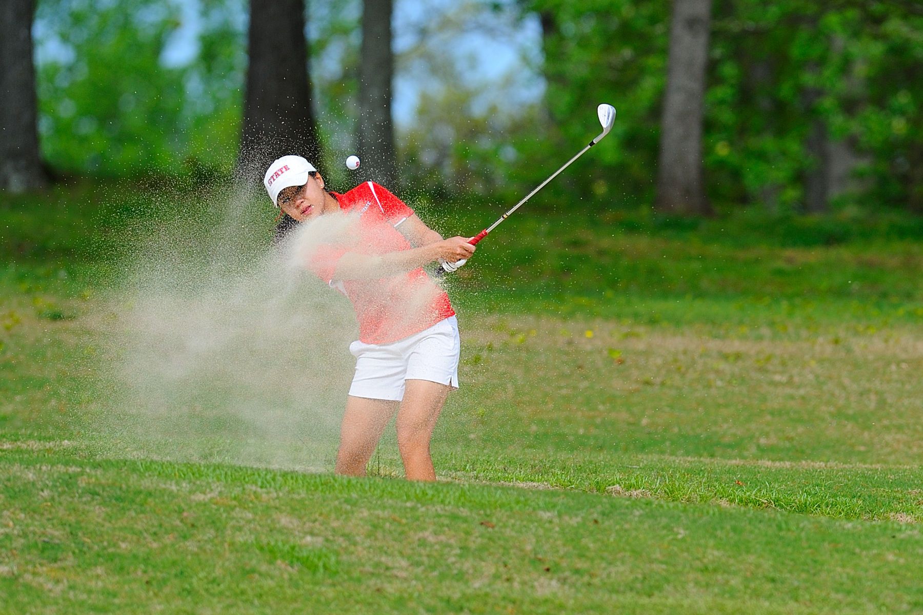NCAA WOMENS GOLF:  APR 08 Bryan National Collegiate