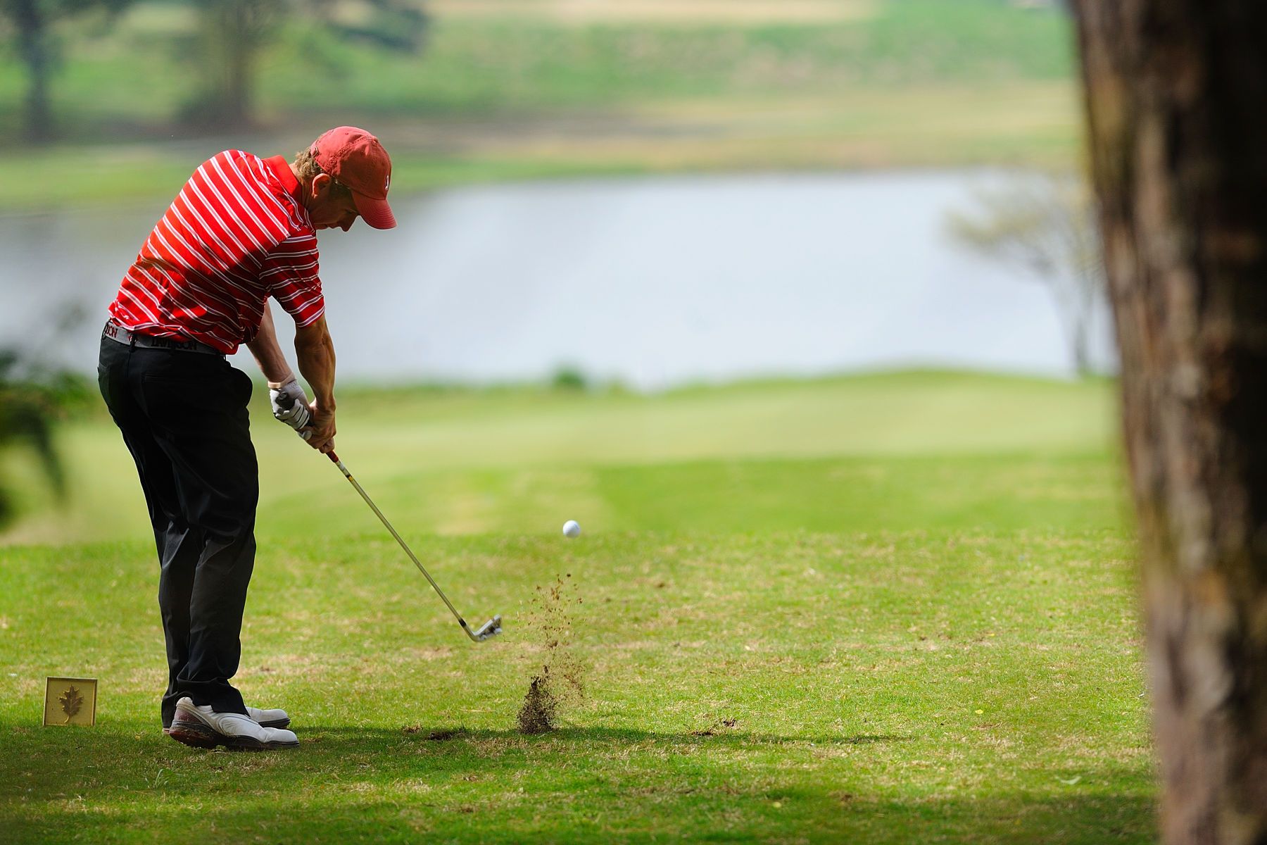 NCAA GOLF:  APR 01 Irish Creek Collegiate - Davidson