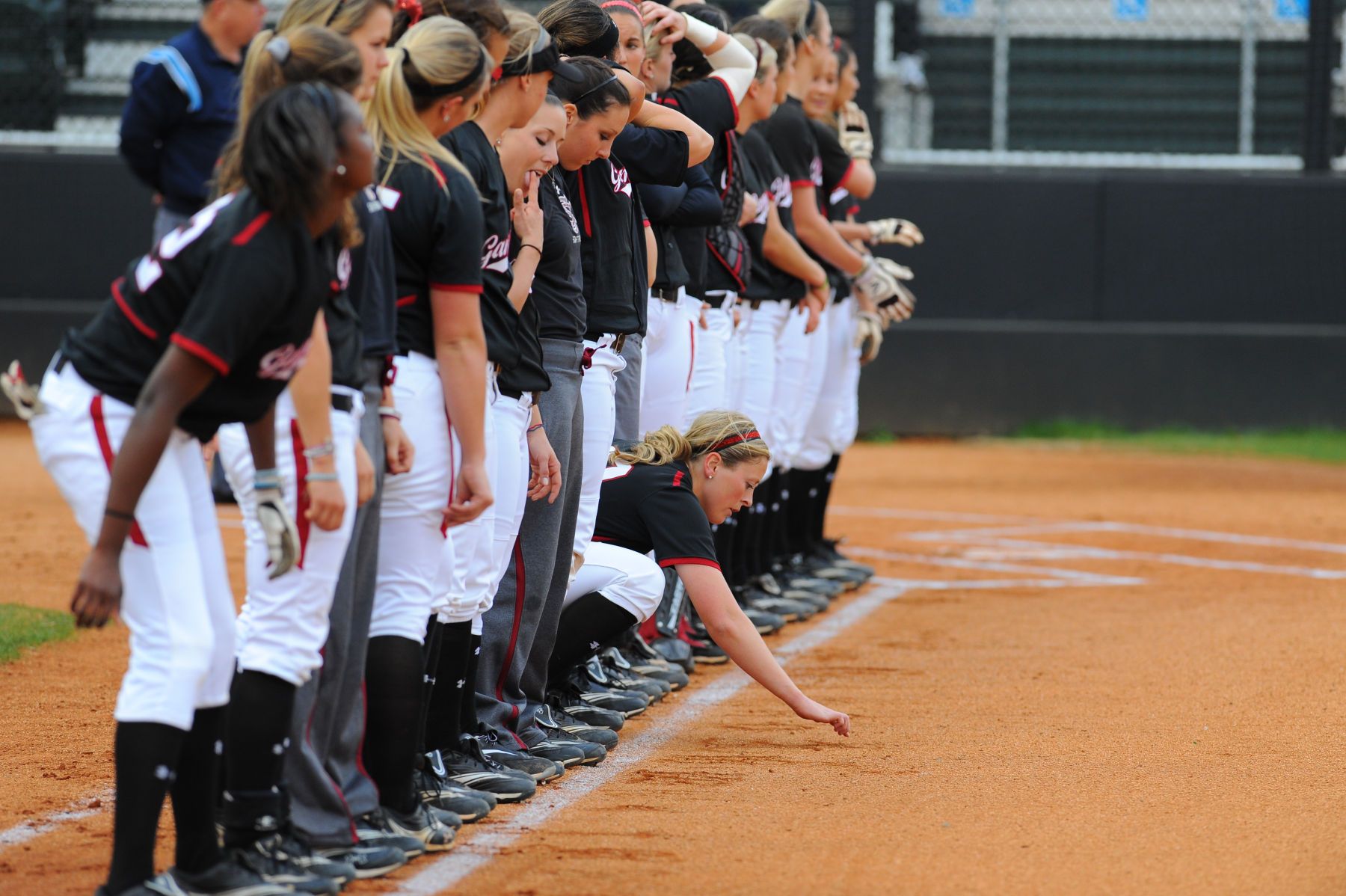 NCAA SOFTBALL:  FEB 29 South Carolina at Charlotte