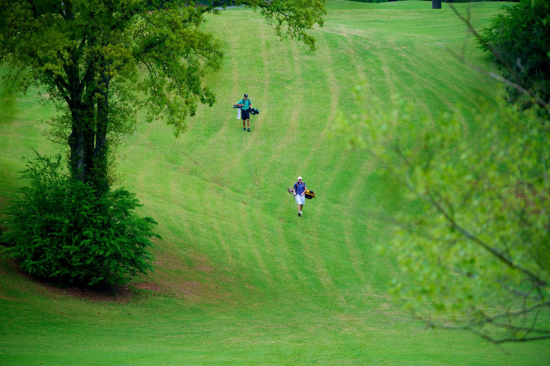 NCAA GOLF:  APR 20 Atlantic Sun Conference Championships