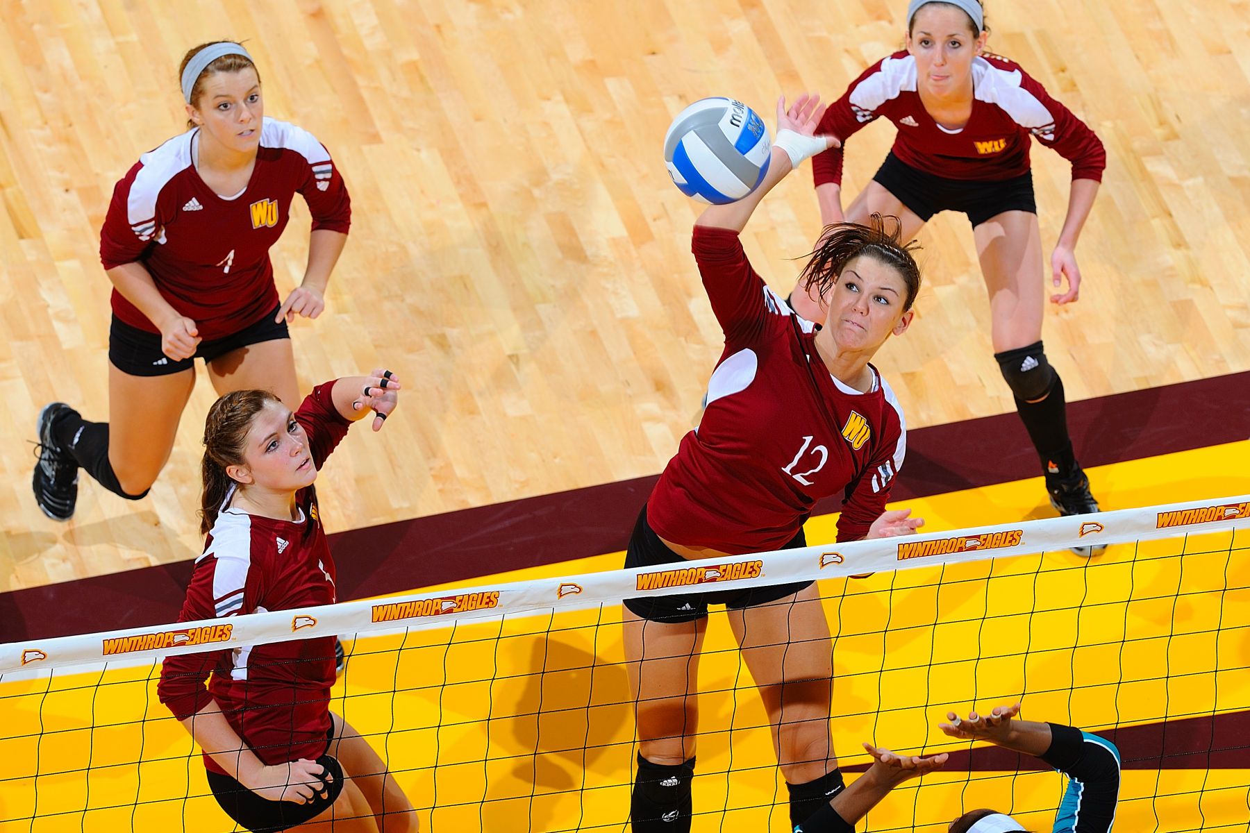 NCAA VOLLEYBALL:  SEP 24 Coast Carolina at Winthrop