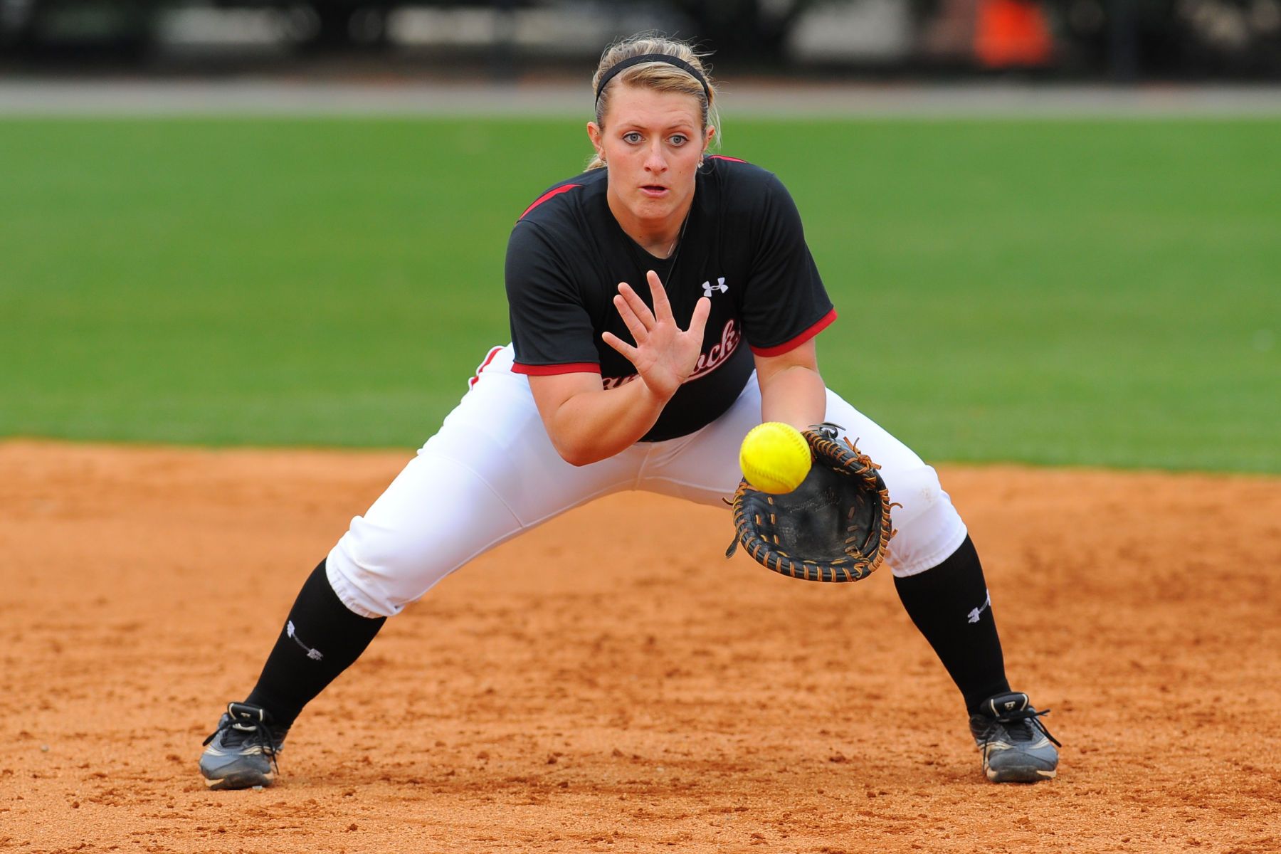 NCAA SOFTBALL:  FEB 29 South Carolina at Charlotte