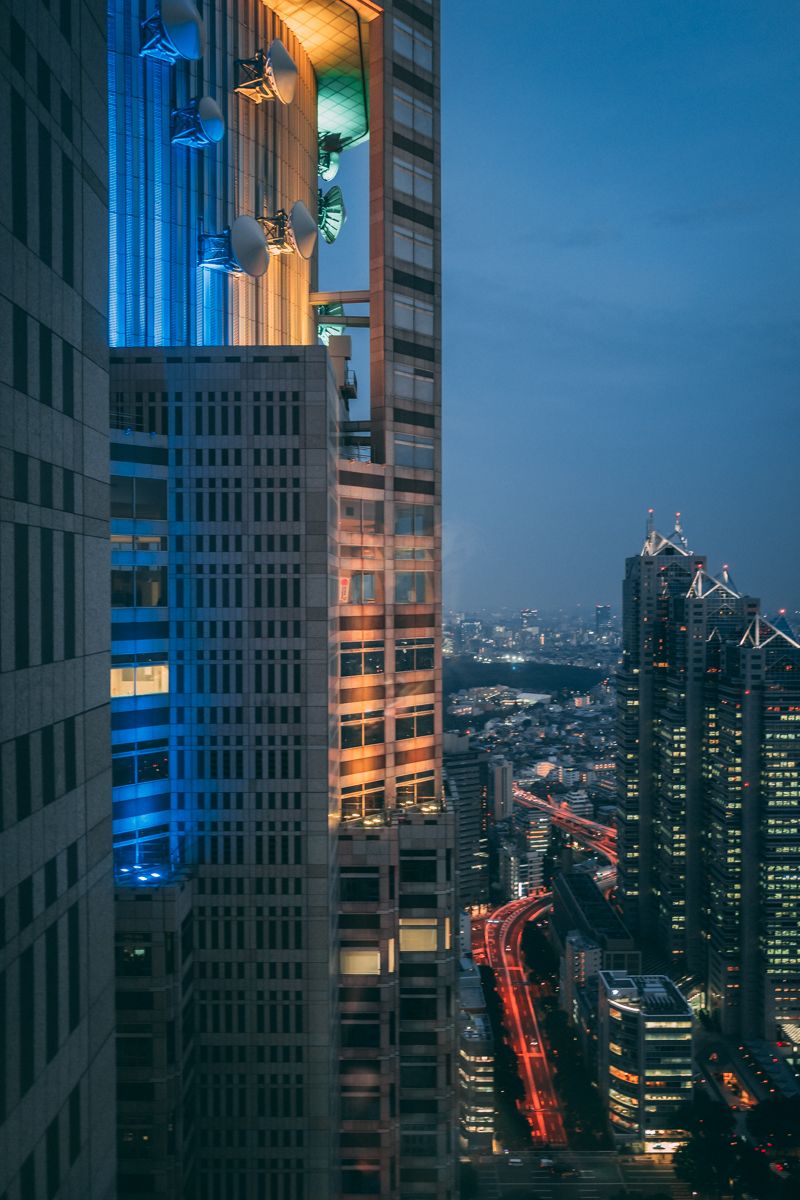 View from Government Bldg.