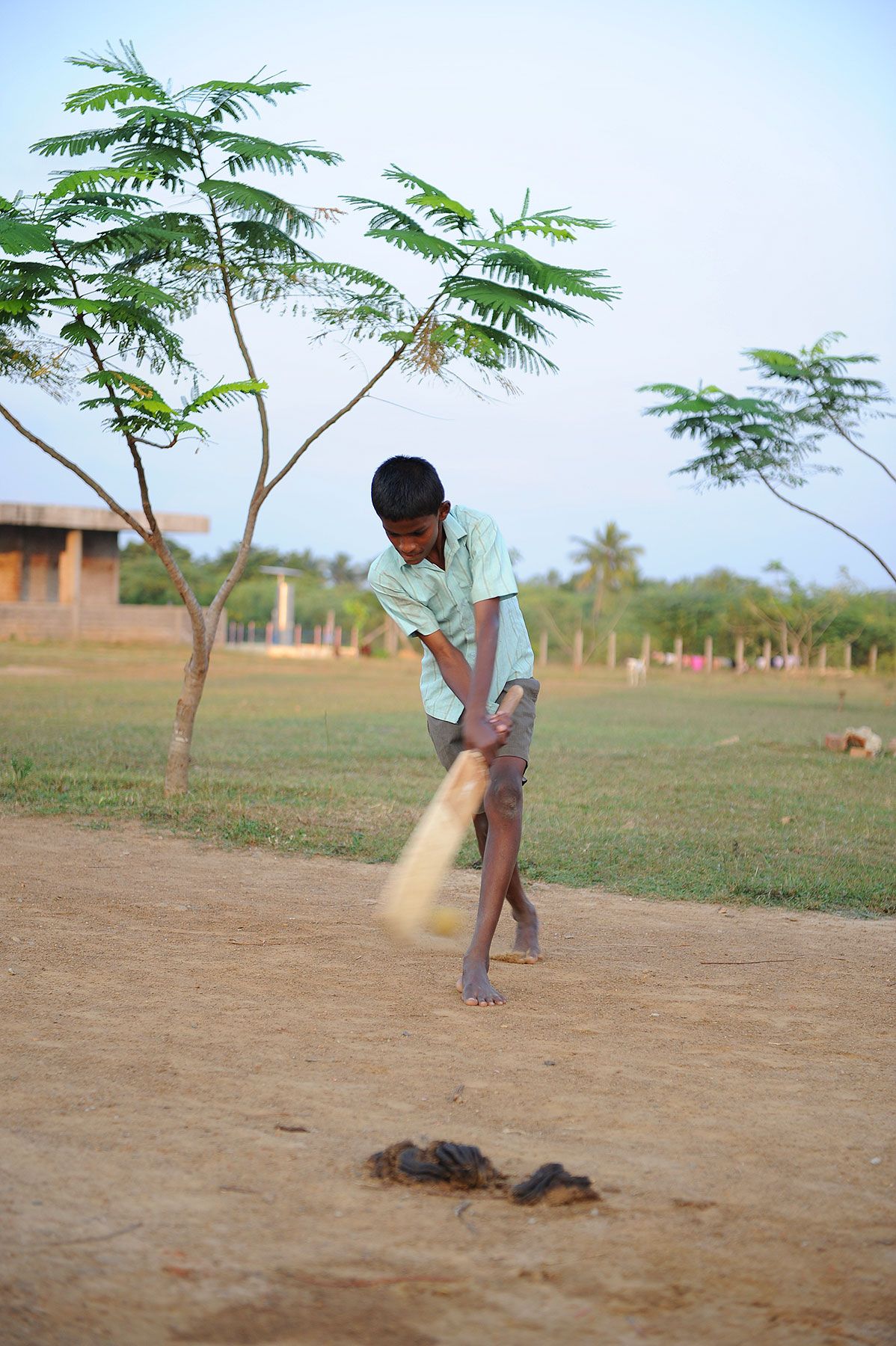 Example of how easy it is for a child to step into  infected cow feces