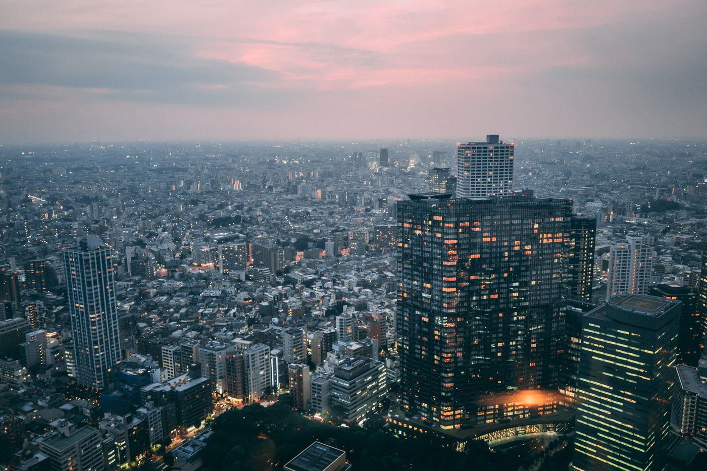 View from Government Bldg.
