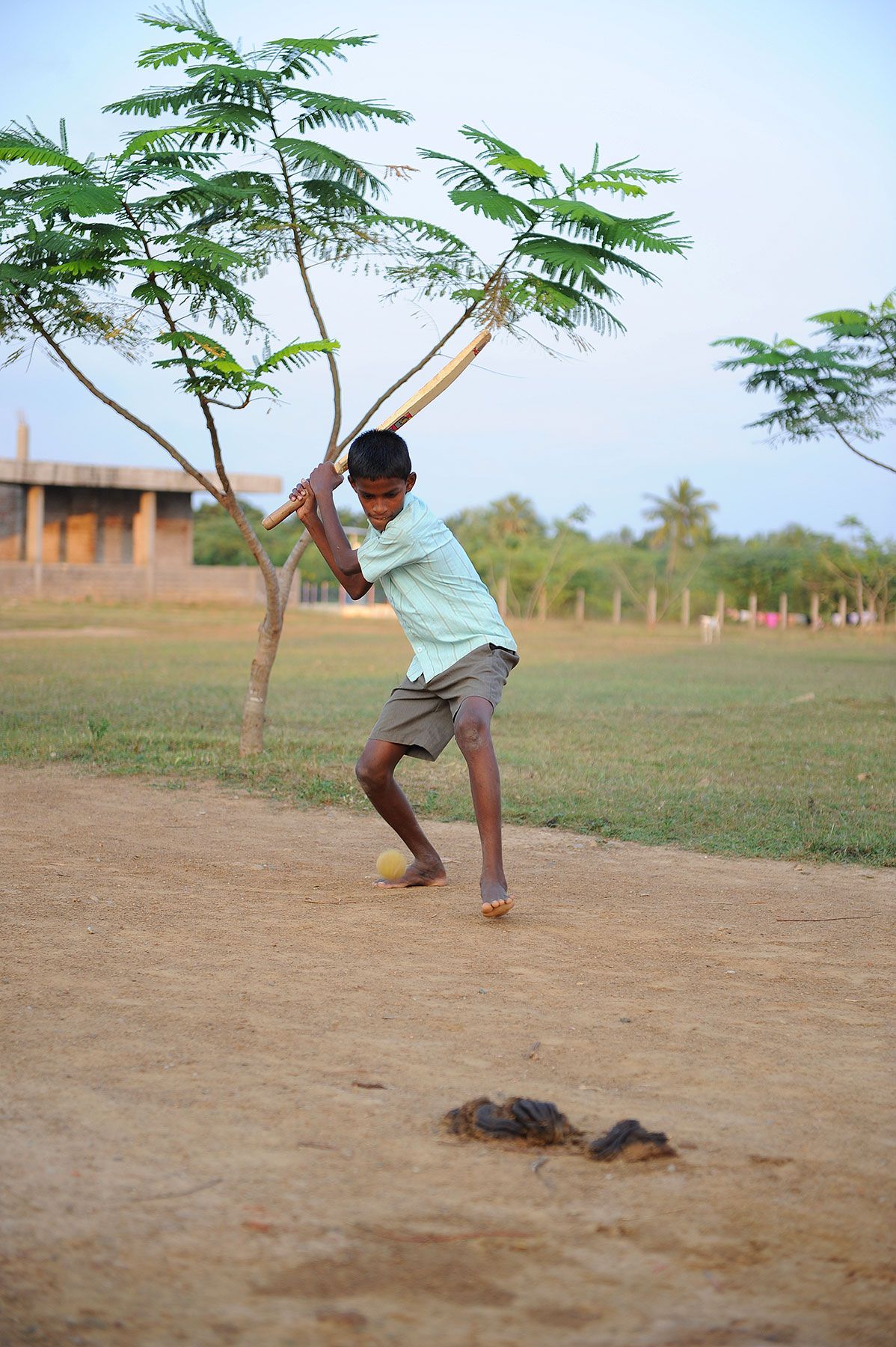 Example of how easy it is for a child to step into  infected cow feces