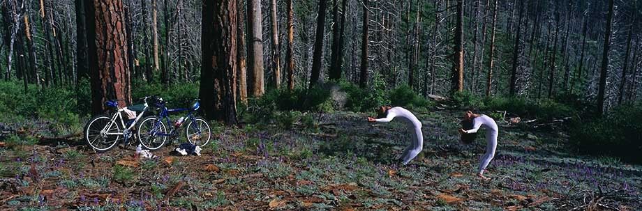 Dancers in Yosemite.