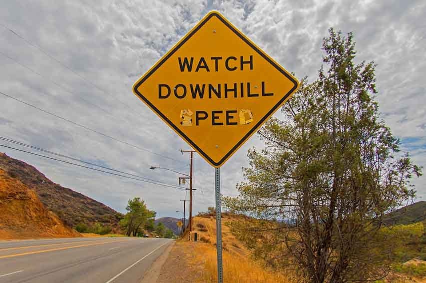 Watch Downhill Pee