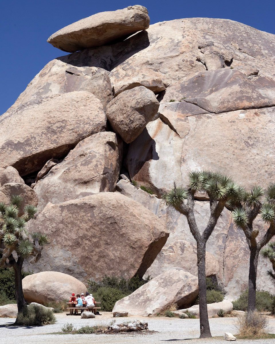Joshua Tree Picnic