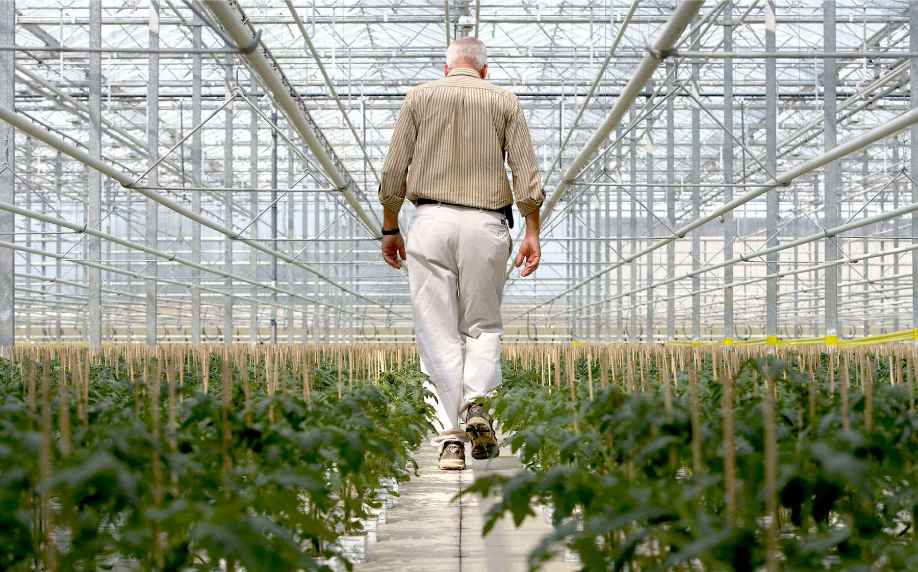 Walking Through Greenhouse