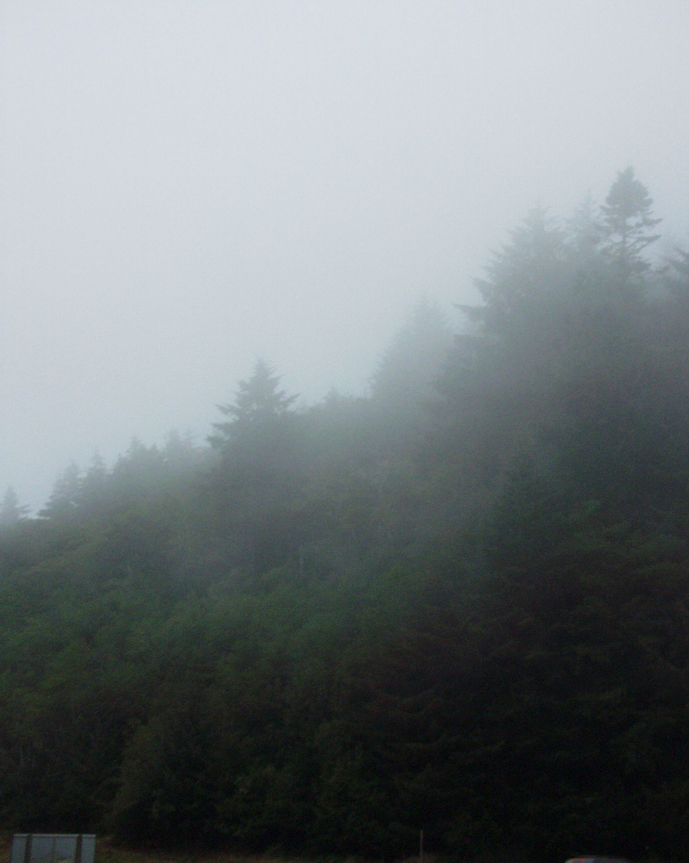 StreetArtBizIndustrial-7120194 - Copy.jpg