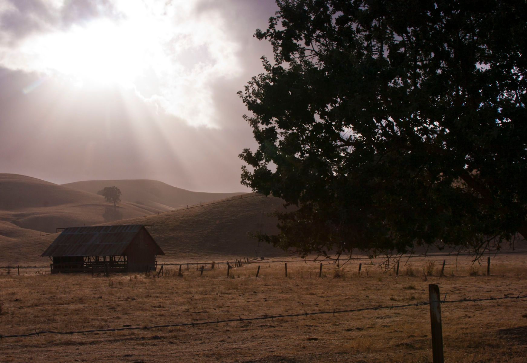 1barn_0521