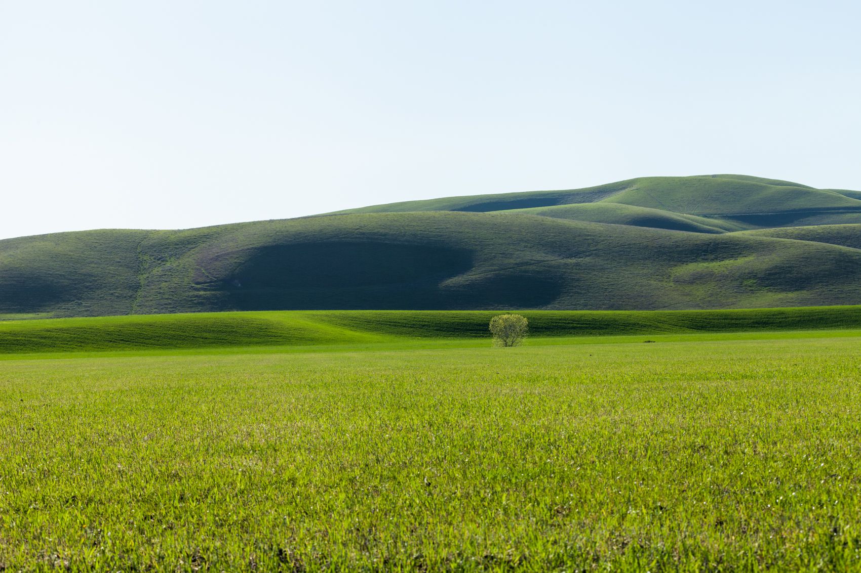 Salcido_PaoloA landscape.jpeg.JPG