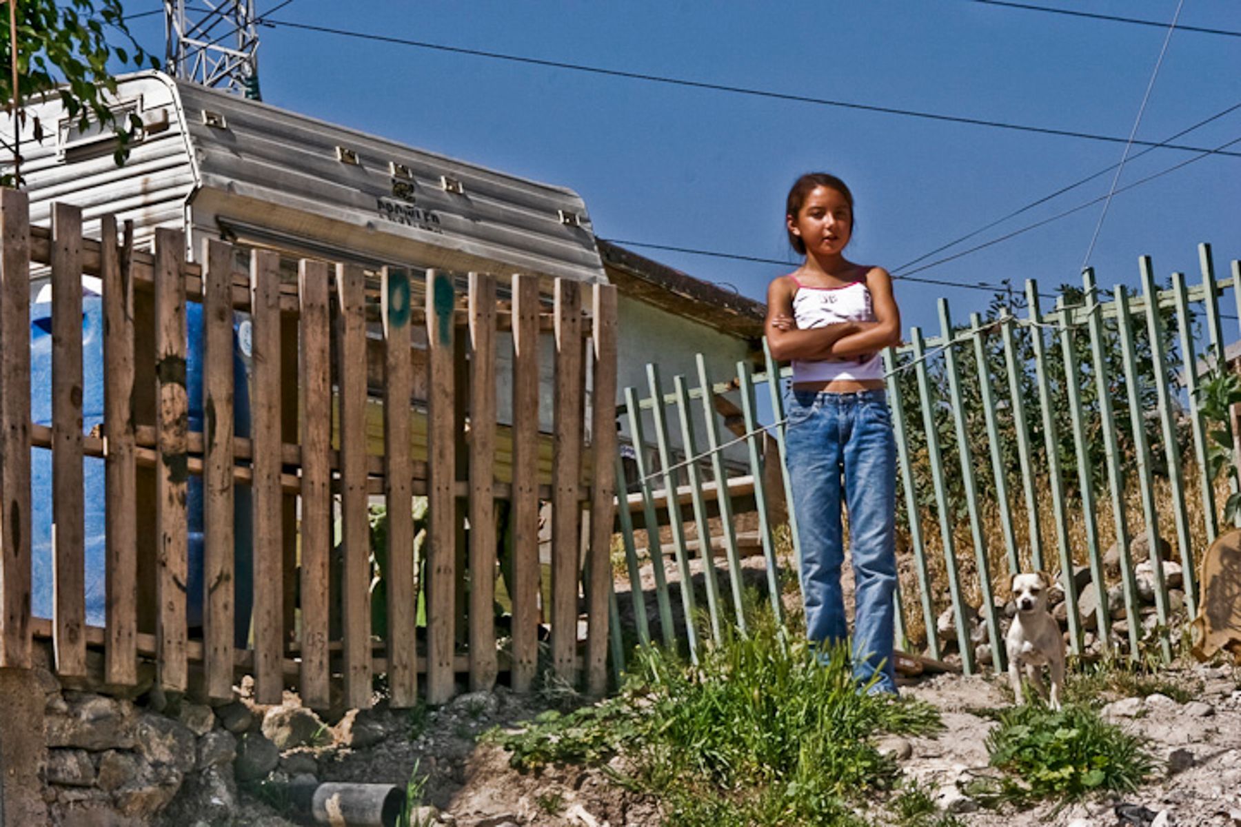 Hispanic girl and Chihuahua dog-LB1800Port-5 - Copy.jpg