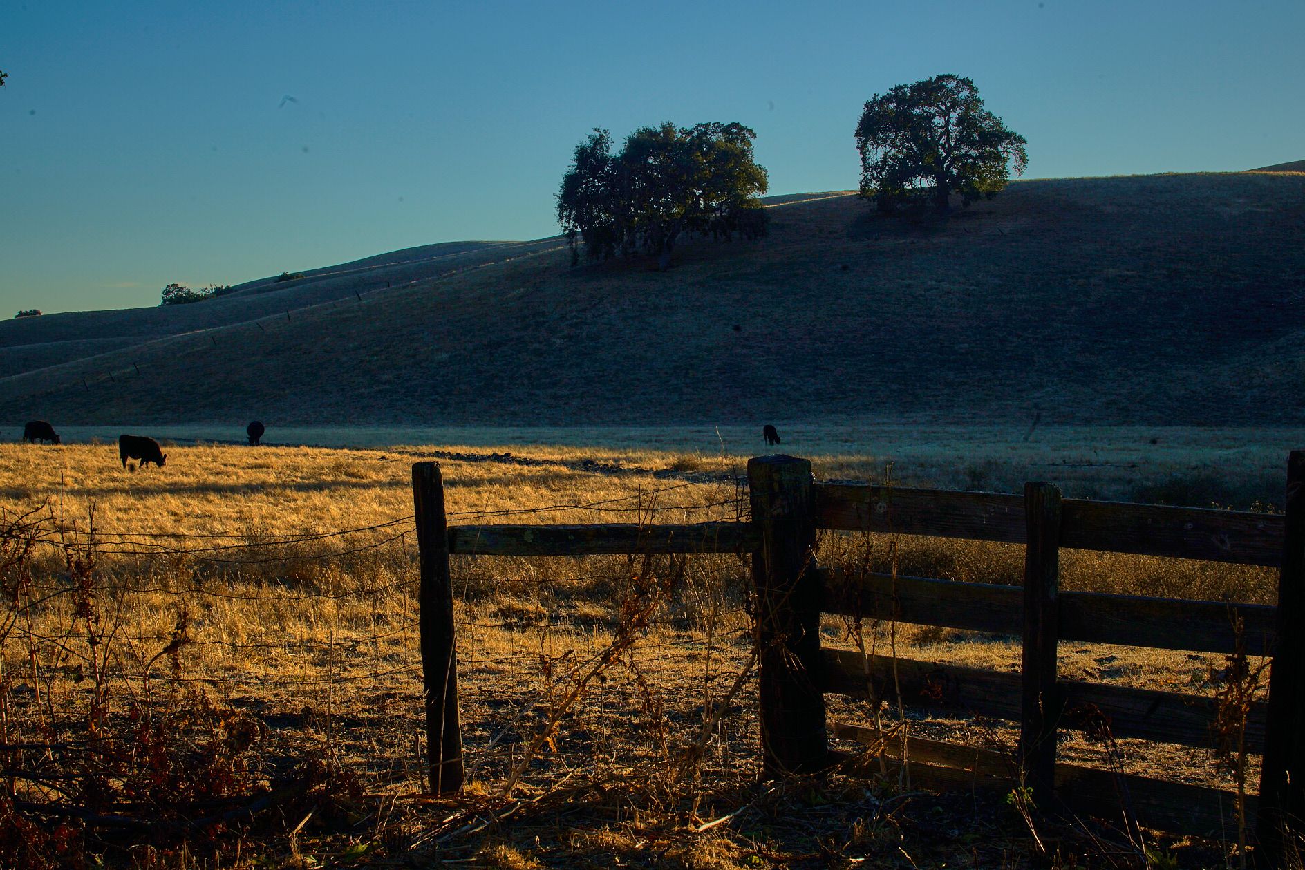 Salcido_PaoloPhoto.jpeg 7.jpg