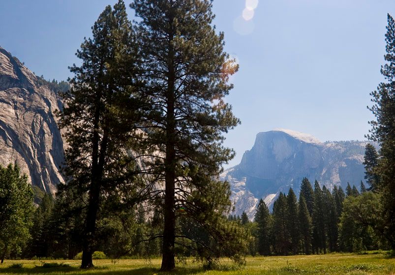 Yosemite-5345.jpg
