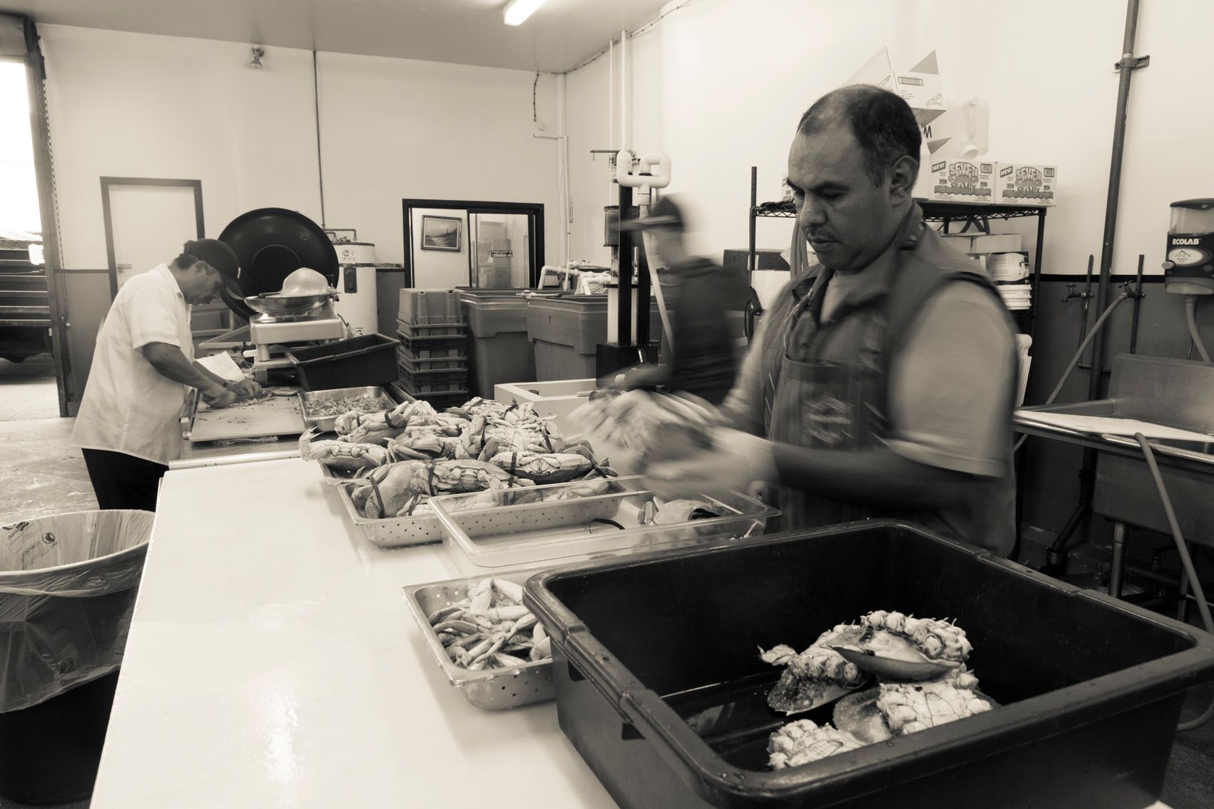 San Francisco Rising-0484.jpg