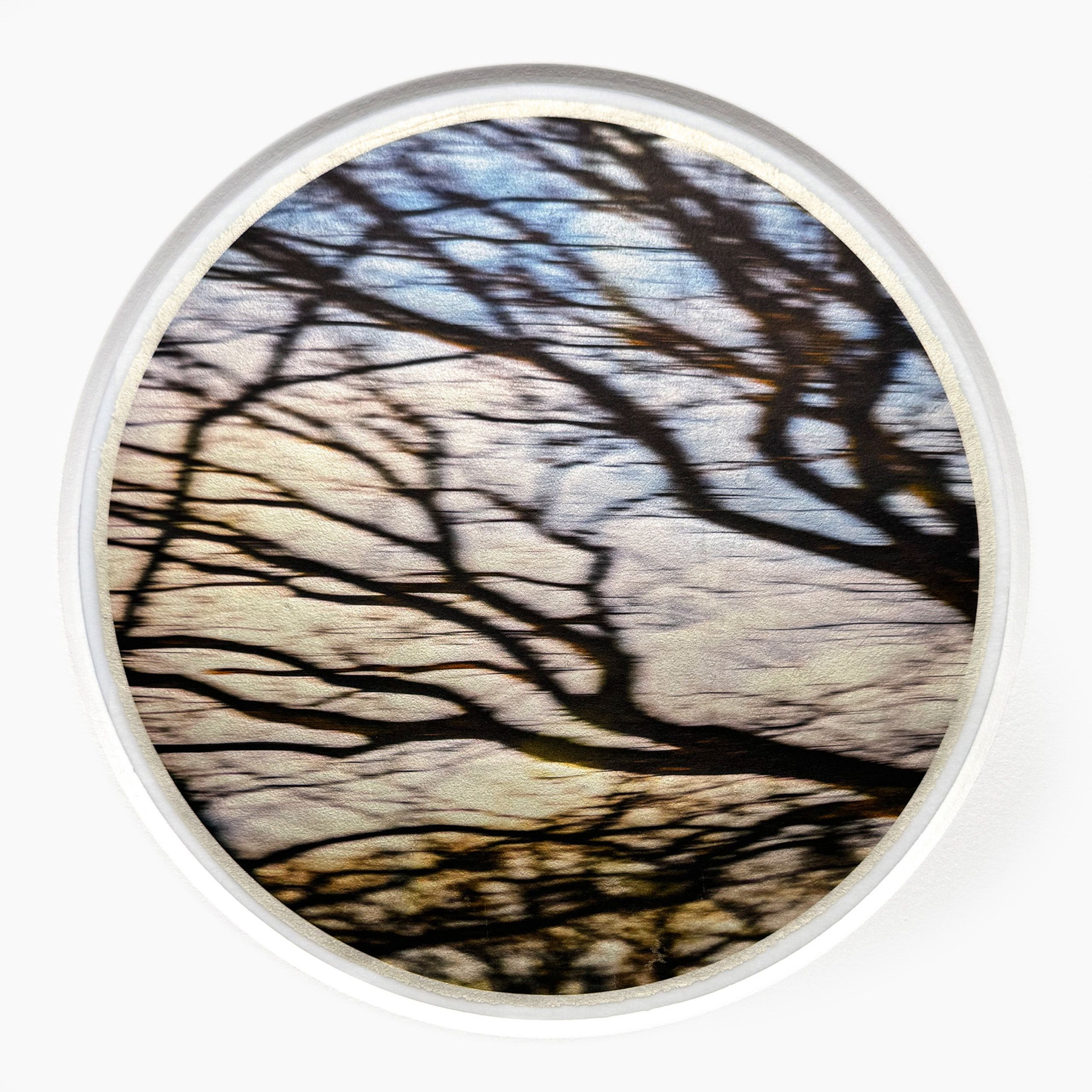 OutBackPerspectiveNorth