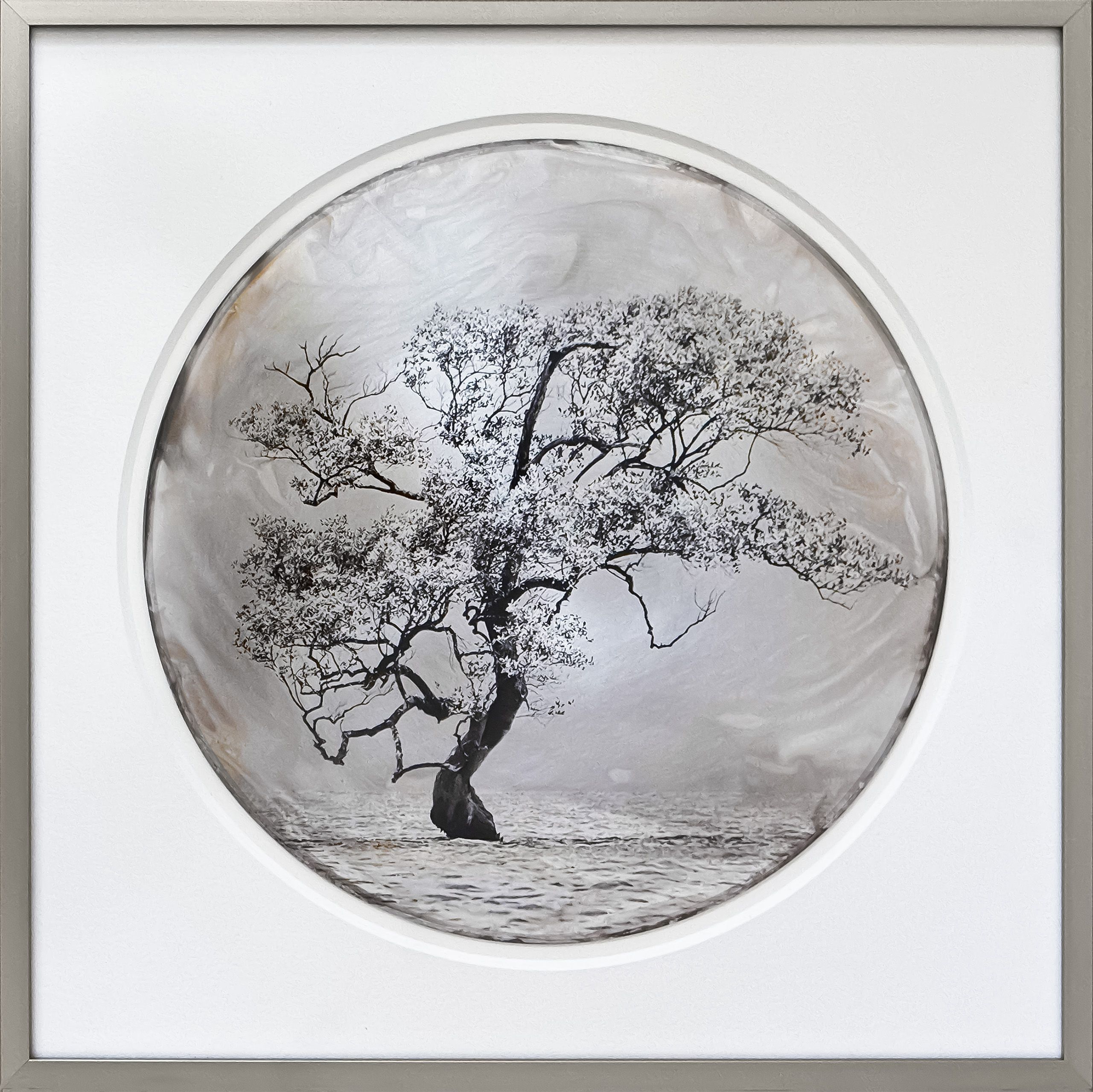 HighTideSalvador Brazil