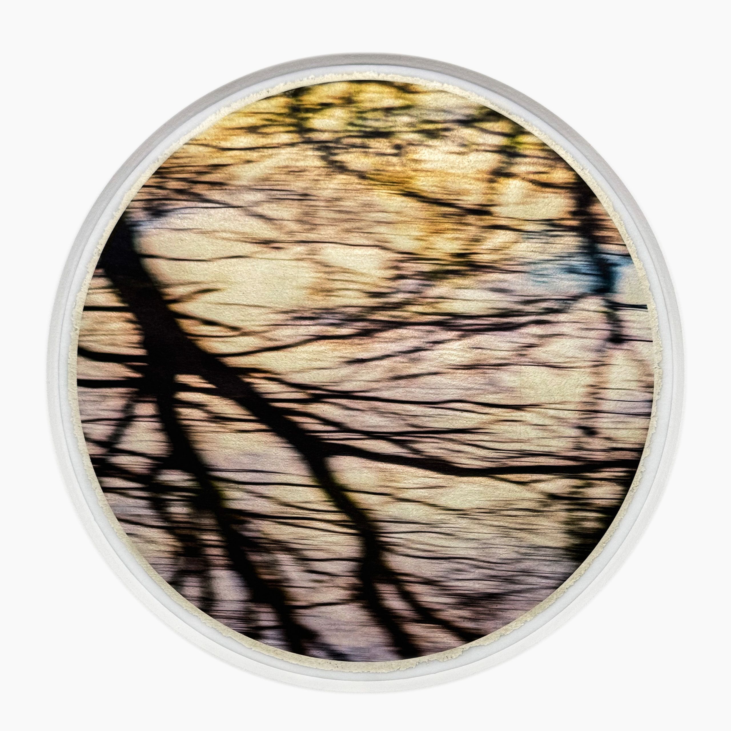 OutBackPerspectiveSouth