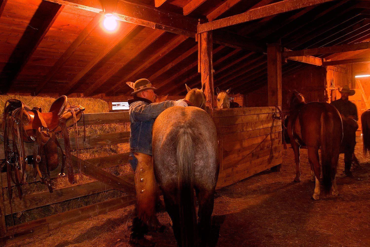 Saddling up prior to a cattle roundup in the Wet Mountain Valley of Colorado near Westcliffe, 50 miles due west of Pueblo
