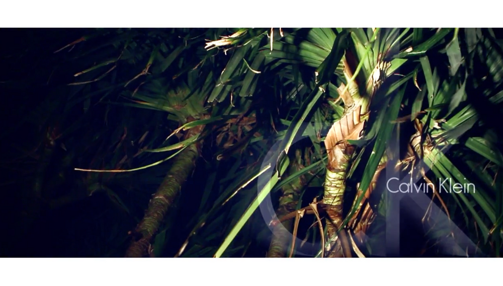 Screen Shot 2025-09-04 at 1.21.44 PM.png