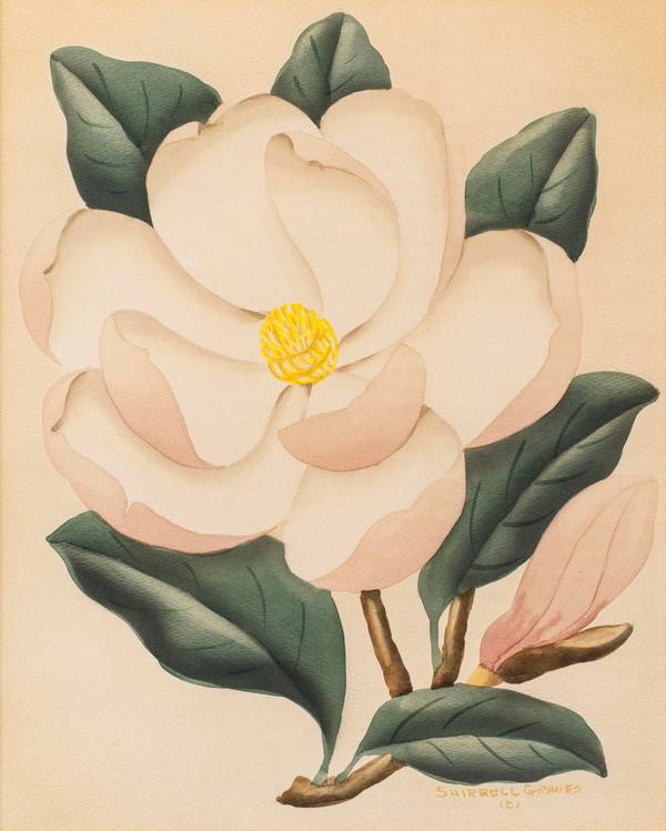 Shirrell W. Graves (1884-1954)
Magnolia
Watercolor on paper
16 x 13 inches
Signed and copywritten lower right Shirrell W. Graves Magnolia unframed