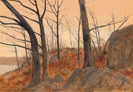 Lockwood DeForest Winter Trees