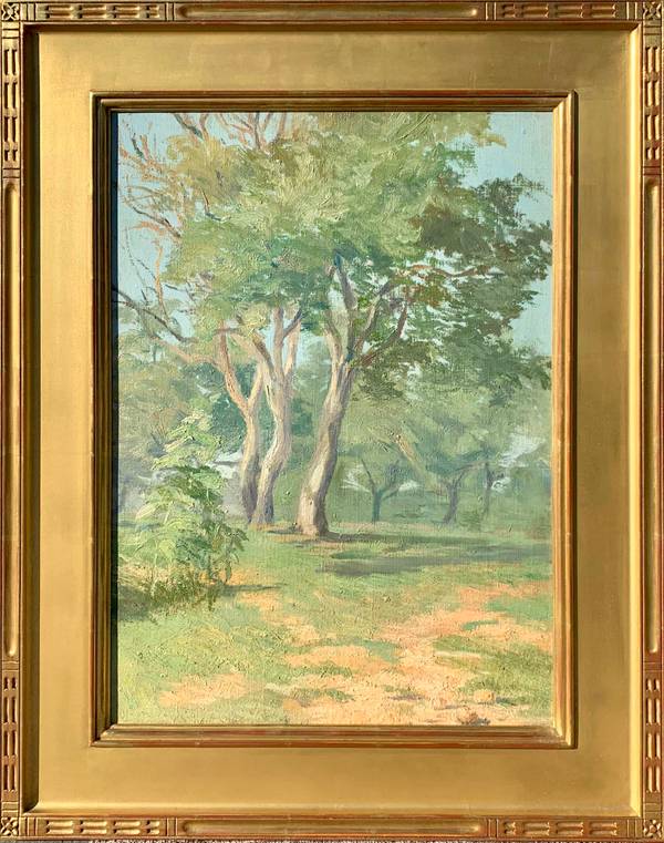 Mary Traines Tree Landscape 
