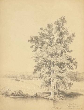 Julie Hart Beers Wood Wild, Metuchen, N.J.