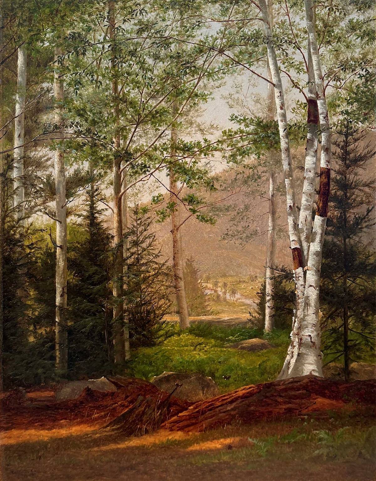 Edith W. Cook Landscape with White Birch, 1866