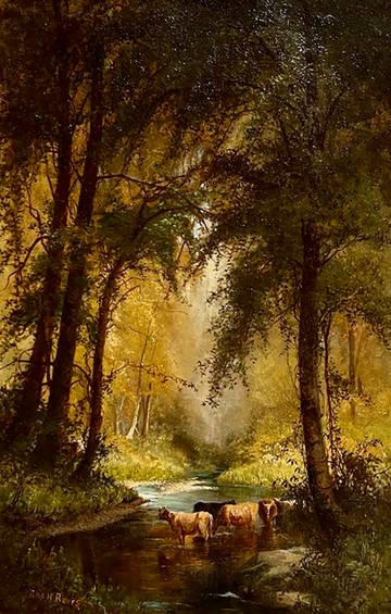 Julie Hart Beers Forest Stream