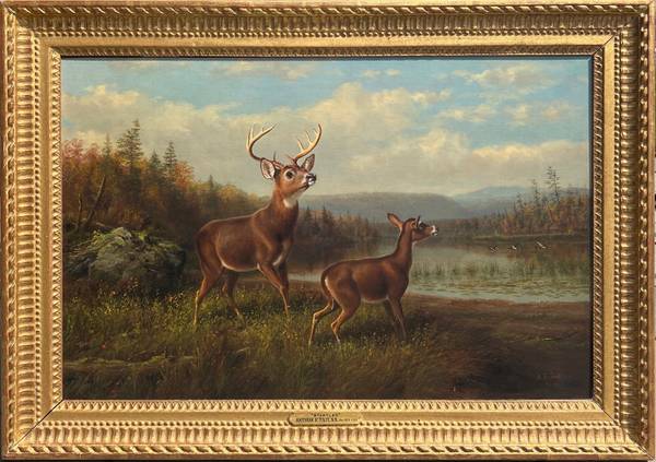 Arthur Fitzwilliam Tait  Startled, 1888