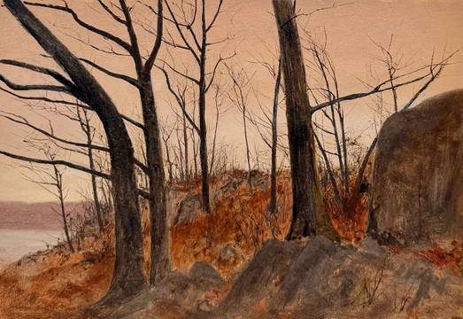 Lockwood DeForest Winter Trees