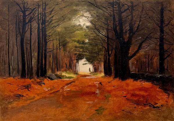 Lockwood DeForest Wooded Path, Maine